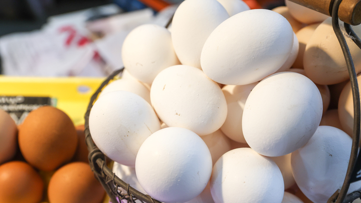 Пасха прошла, цены упали: глава ФАС заявил о снижении стоимости куриных яиц