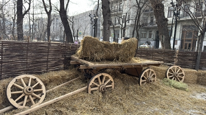 Прошло исследование: ученые пролили свет на место изобретения колеса