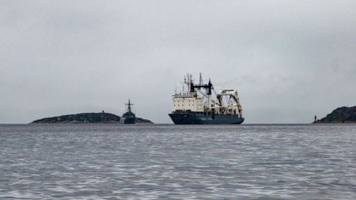 Северный флот России перепугал НАТО: Первыми тревогу начали бить в США