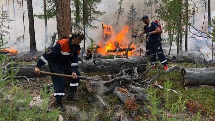 Заживо сгорел: Найдена первая жертва лесных пожаров в Якутии - СМИ