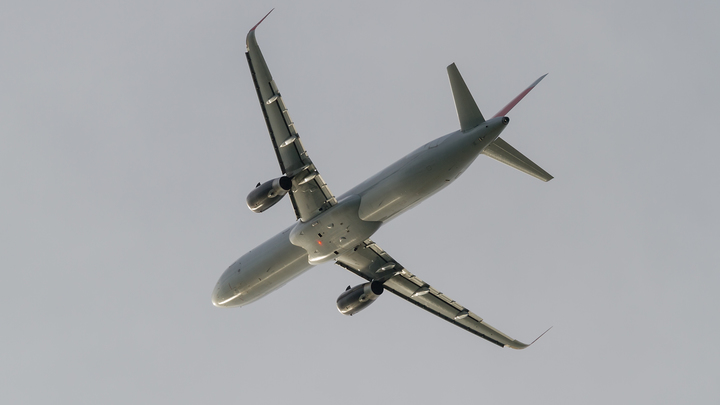 Сочи вошёл в тройку самых популярных направлений для внутреннего туризма