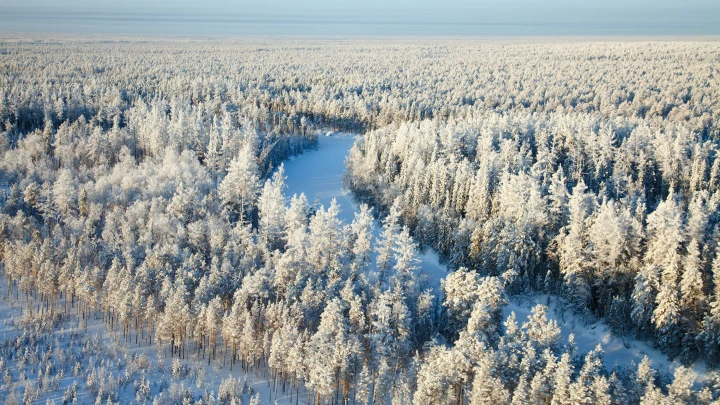 Я уверен, что они живы: Сын Усольцевых не сдаётся. А его обвиняют во лжи