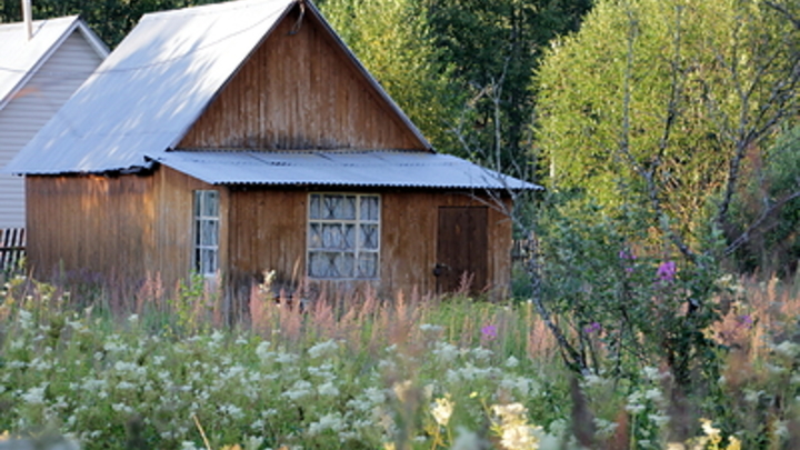За урожай оштрафуют на 2000 рублей: Дачников начнут наказывать