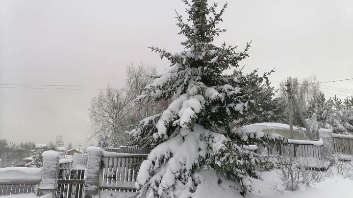 Погода в Ленобласти на 9 декабря 2022: облачность, снежная каша и повышение давление