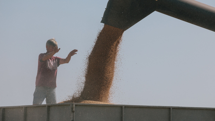 Удар по зерновой сделке: Страховщики Британии сделали заявление