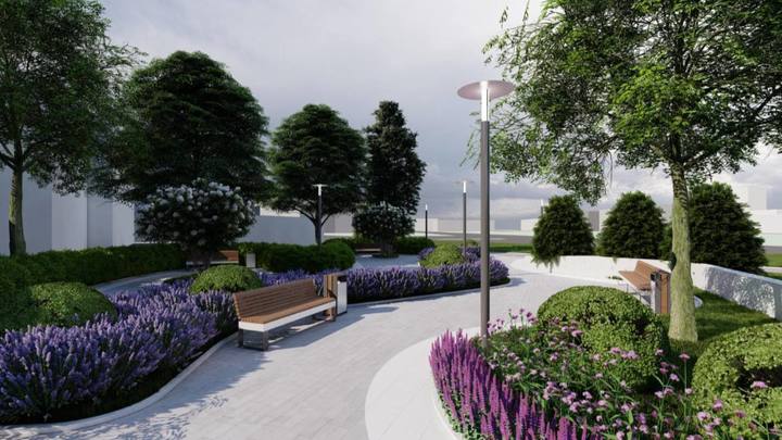 На месте будущего сквера за цветочными часами в Краснодаре вырубят гнилые деревья