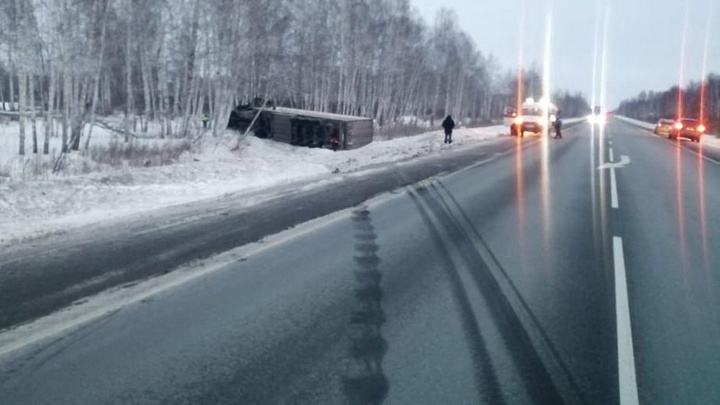 Грузовик врезался в дерево на трассе в Новосибирской области: водитель погиб