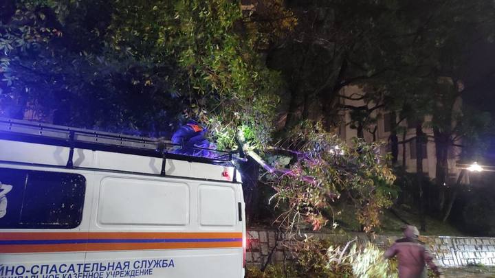 Сорванные крыши, поваленные деревья и отключения света: последствия шторма в Сочи 24-25 декабря