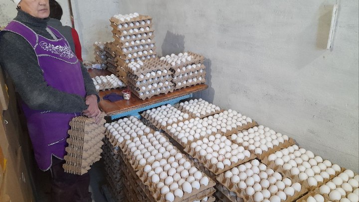 В Забайкалье птицефабрику поддержат финансово на уроне прошлого года