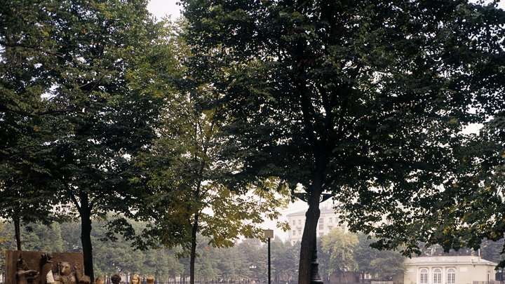 Жарко и без осадков: синоптики рассказали о погоде на Кубани в начале недели