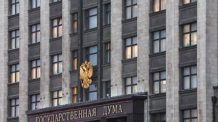 Иноагентам перекроют заработок в России: Володин сообщил о новых поправках