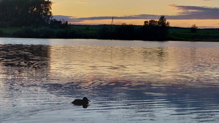 17 июня – Митрофан Навозник: что можно и нельзя делать в этот день