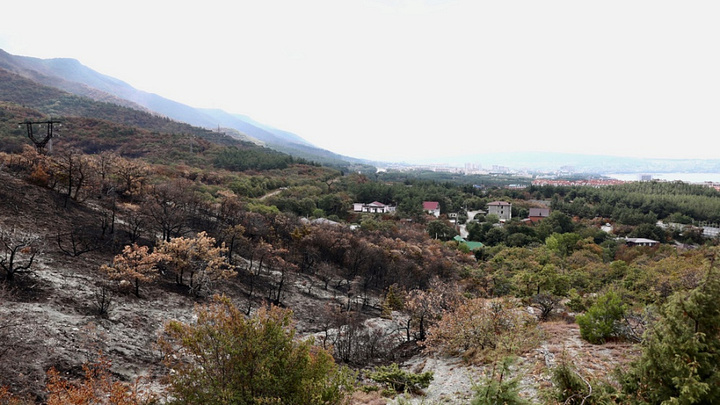 В Геленджике проверят законность построенного жилья вблизи сгоревшего леса