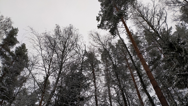 Аномальные холода после осенней жары: Какой будет погода в России?