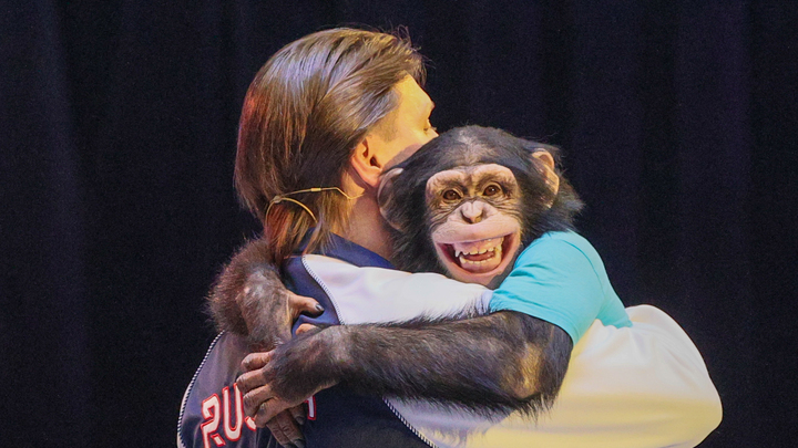 Человек не мог произойти от обезьяны - доказано академиком: Что не учёл Дарвин?