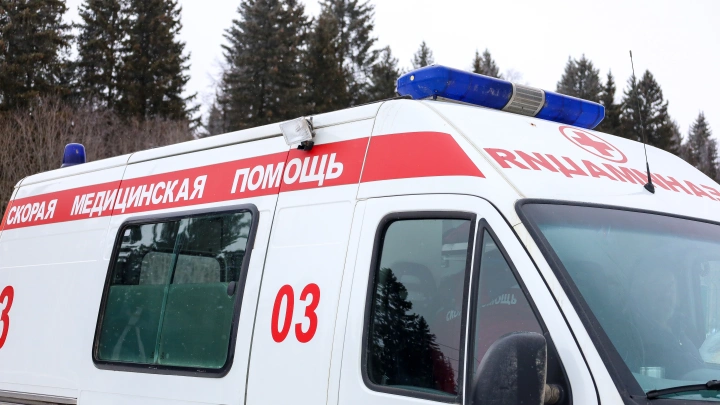 Устроиться на работу не успел: в Петербурге экскаваторщик случайно убил соискателя на стройке