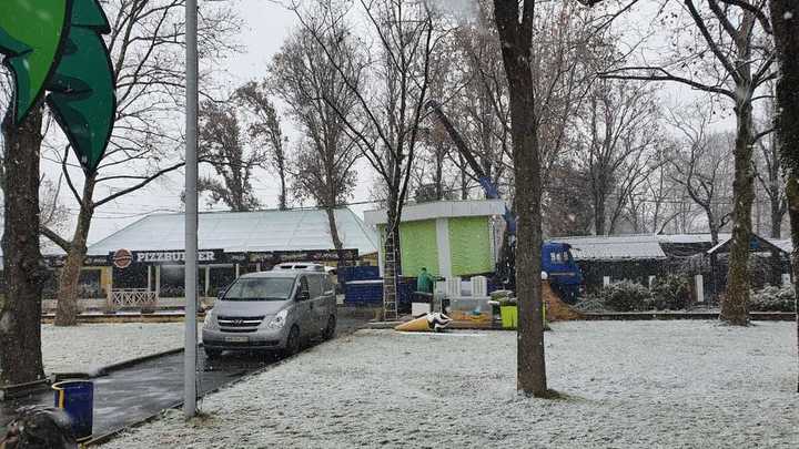 В краснодарском парке «Солнечный Остров» обнаружили под сотню незаконных построек