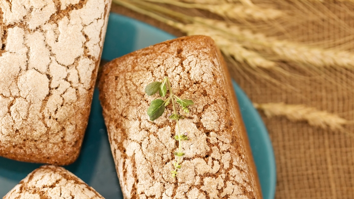 За хлеб спасибо: Гражданка США рассказала правду о событиях в Мариуполе