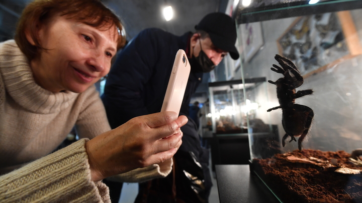 Мефодий Перепелятник 3 июля 2022: приметы, что можно и нельзя делать в этот день