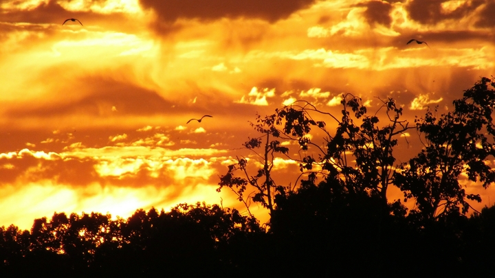 Жителям России пообещали опасное солнце: В Гидрометцентре объяснили, кому приготовиться