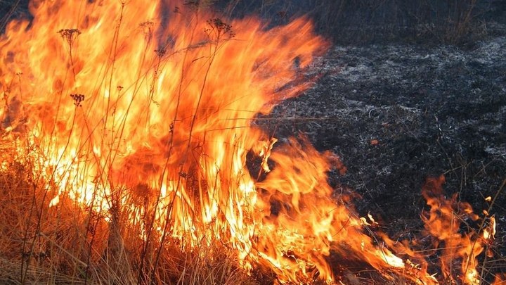 Забайкальскому ветерану труда дали 300 тысяч рублей после пожара