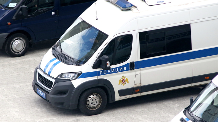 В Новосибирске задержали подозреваемых в совершении разбоя на улице Никитина