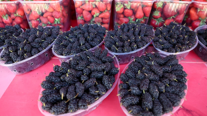 Красные и синие ягоды поддержат сосуды: Не миф - чистая правда