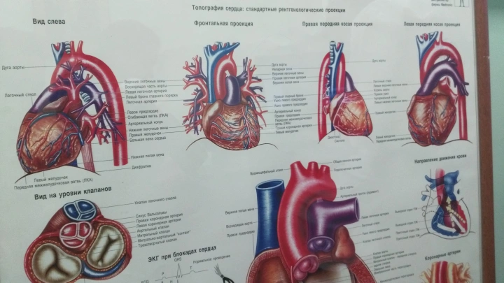 С началом весны врачи напомнили о рисках инфаркта и профилактике болезней сердца