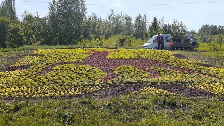Цветной олень украсил развязку на улице Ларина в Нижнем Новгороде