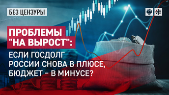 Проблемы на вырост: если госдолг России снова в плюсе, бюджет - в минусе?
