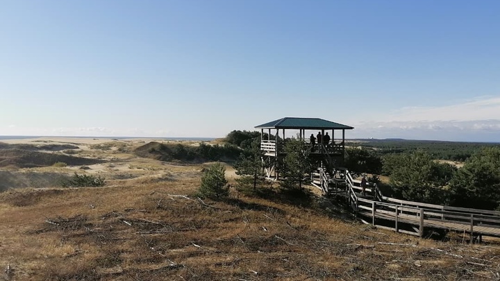 В лес по QR-коду: в Калининградской области для туристов открыли Куршскую косу
