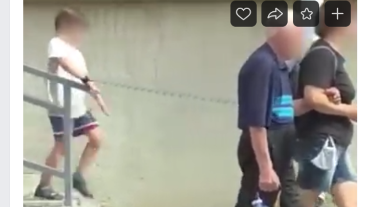 В Кургане соцсети взорвало видео ребенка на поводке