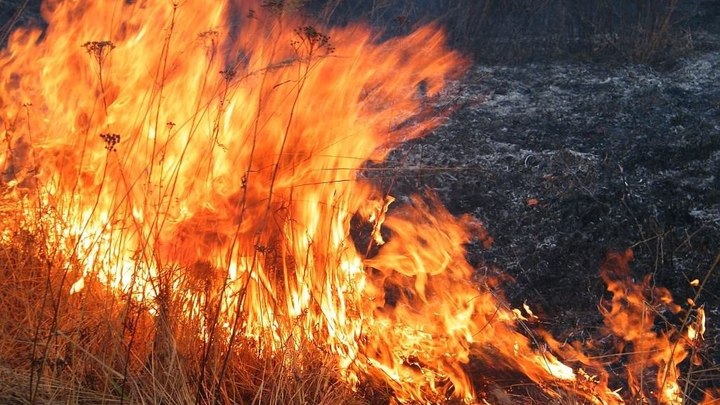 8 пожаров зарегистрировали в Чите в День города
