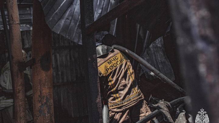 В Темрюкском районе работники молочной фермы вывели из горящего хлева 42 коровы