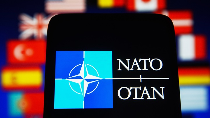 Вступать в НАТО - это суицид!: Военный аналитик США о присоединении Финляндии к альянсу