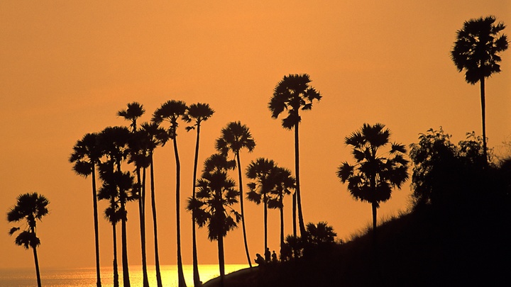 На курорте Таиланда нашли мёртвым русского туриста