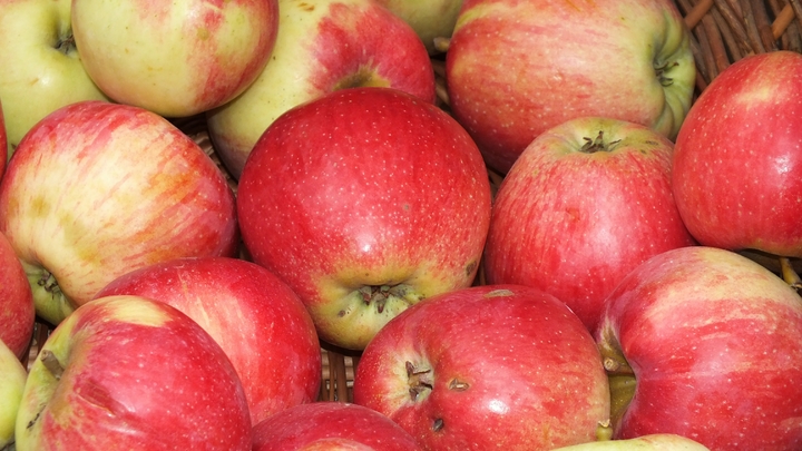 Борется с раком и болезнями сердца: Врачи рассказали о доступном чудо-фрукте