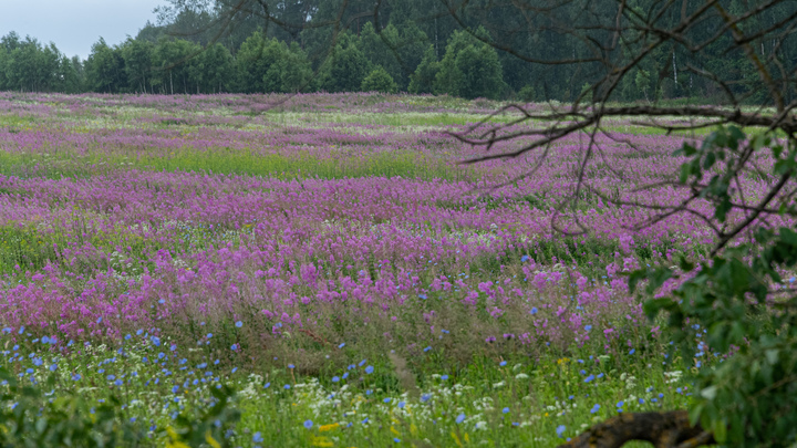 В Калужской области ПВО сбили седьмой беспилотник - губернатор