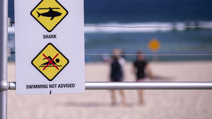 Потерявший ногу из-за нападения акулы сёрфер заявил о желании вернуться в океан