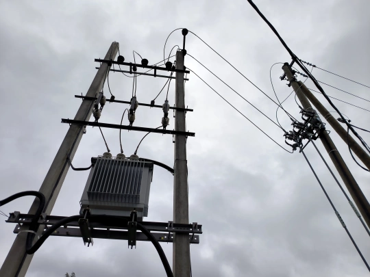 Жители деревни в Тверской области почти на неделю остались без света и связи