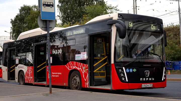 В Перми появится два новых автобусных маршрута