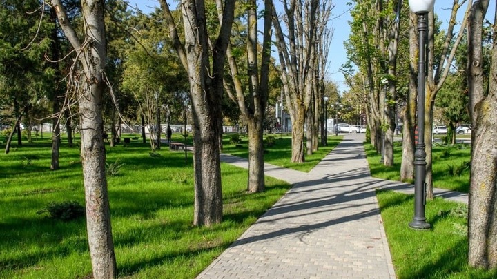 Краснодарцы выбрали зеленые зоны для благоустройства в 2022 году