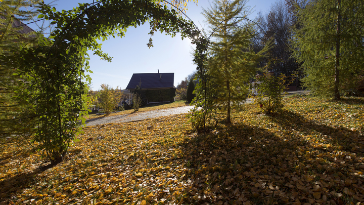 Назад в прошлое: топ-5 стародачных мест Подмосковья