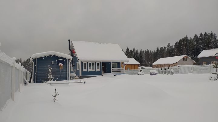 Мы все растерялись: Русский о реакции немца на обычную советскую дачу