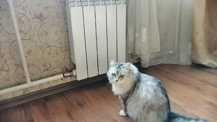Плановые отключения света, тепла и горячей воды пройдут в Нижнем Новгороде