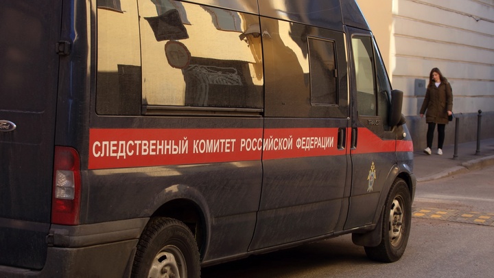 В Ростовской области 8-летняя девочка выстрелила из винтовки в младшую сестру