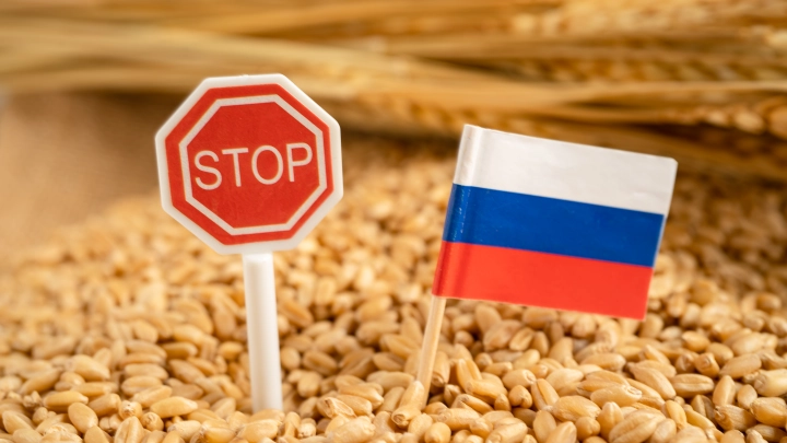 В Эстонии настаивают на отказе от транзита зерна из России через порты Балтии