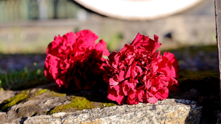 Илия погиб, спасая ребёнка: Дрон ВСУ убил студента, которого наградил Путин - большая трагедия на Курщине