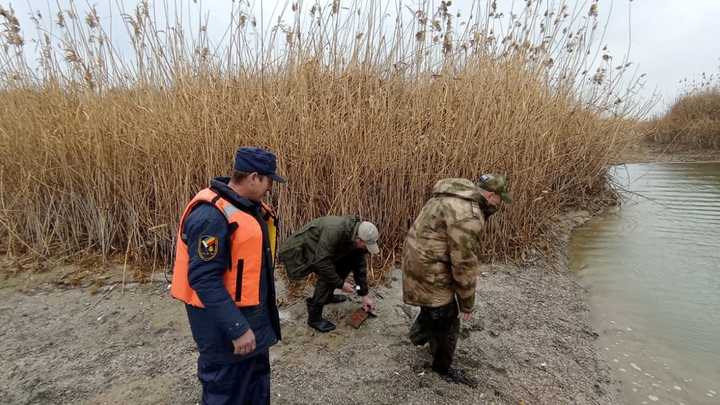 Рыбаки из Сочи застряли на необитаемом острове в Ростовской области