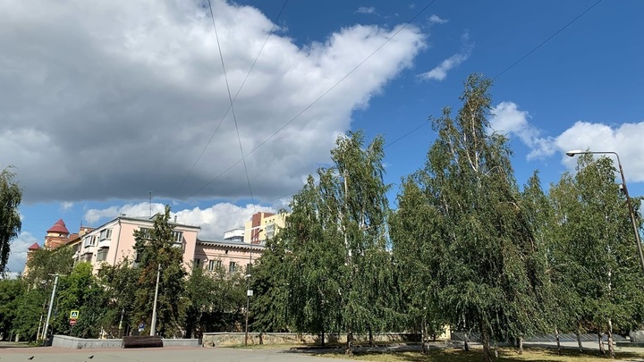 Синоптики предсказали в Курганской области жару в воскресенье